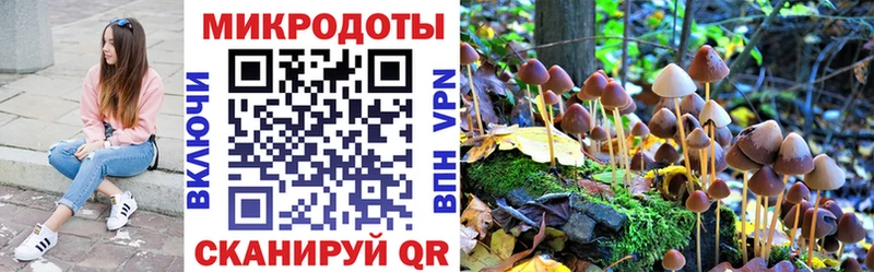 Галлюциногенные грибы мицелий  Тобольск 