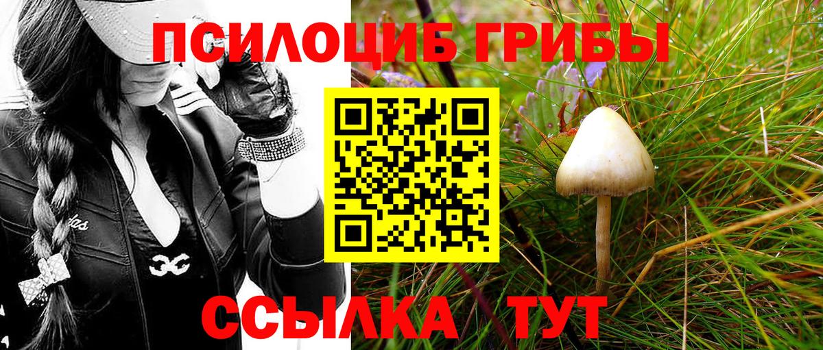 Галлюциногенные грибы Cubensis Тобольск